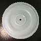  Factory Price Pump Replacement Spare Parts DN80 PTFE Diaphragm for Diaphragm Pump