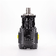 100cc Hyva Hydraulic Gear Pump for Truck Tipping System