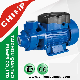 0.5HP Small Size Homeuse Qb60 Vortex Water Pumps