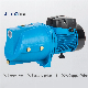  Peripheral Electric Pressure Garden 0.5/0.6/0.8 HP Self-Priming Water Jet Pump