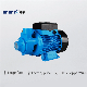  Qb70 0.75HP Electric Motor Water Pressure Self-Priming Vortex Pump for Home Use