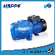 Peripheral Centrifugal Surface AC Electric High Pressure Automatic Self Priming Factory Price Small 1.5 HP Jet Water Pump (HKJm 10M) manufacturer