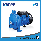 Centrifugal Pressure Horizontal Submersible Clean Surface Electric Water Pump (HCM) manufacturer