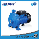 Centrifugal Pressure Horizontal Submersible Clean Surface Electric Water Pump (HCM)