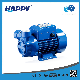Vortex Color Horizontal Motor 1HP Water Electric Pump (HLQ)