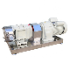 Stainless Steel Sanitary Rotor Pump