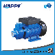  Electric Vortex Single-Stage Peripheral Presssure Water Pump (IDB)