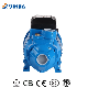  High Lift Single Stage 1HP 0.75kw Self Priming Vortex Peripheral Water Pump for Household Application