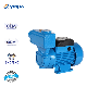  China Pump Manufacturer 1HP Water Pump Prices in Dubai House Booster Self-Priming Peripheral Pump
