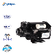  Yinjia Brand 0.5HP Single Phase High Pressure AC Motor Household Peripheral Pump for High Building
