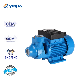  Yinjia Brand High Head Single Phase Electric 100% Copper Wire Small Vortex Pump for Booster System