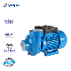  Clean Water Pump Manufacturer 2HP Big Flow High Pressure Irrigation Centrifugal Pump for Agriculture