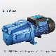  Electric Pressure Factory Price 0.5/0.6/0.8 HP Self-Priming Water Jet Pump