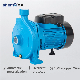  Shentai 1.5HP Electric Motor Centrifugal Pump for Water Supply Irrigation Water Pump
