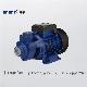  Qb60 0.5HP Electric Motor Water Pressure Self-Priming Vortex Pump for Home Use