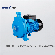  Shentai 2HP Electric Motor Centrifugal Pump for Water Supply Agricultural Irrigation Water Pump