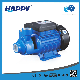 Self-Priming Domestic Use Peripheral Half HP 1HP Water Pump (VPM) manufacturer