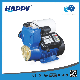 Domestic 0.5 1HP Clean Water Smart Self Priming Pump (HQSm-AX) manufacturer