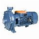  Two Impellers Thread Port Centrifugal Pump From Yeschamp