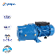  Best Quality 0.5HP High Pressure Garden Surface Booster Pump Electric Self-Priming Water Jet Pump