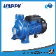Wholesale Surface Single-Stage Centrifugal Electric Pump (HGAM)