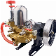  6.5HP Gasoline Engine Agricultural Pesticide Power Sprayer Pumps