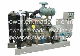  GF2/GF1 10-1000kw Silent and Open Diesel Generator with CE