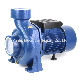  Mindong Hf Series Big Flow 3 Inch 3kw 4HP Electric Centrifugal Water Pump for Agricultural Irrigation