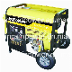  5kw Diesel Welding Generators (SE6500W)