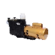  Commercial Automatic Circulation 1HP 3HP 220V 380V Various Speed Above Ground Piscinal Swimming Pool Pump 50Hz