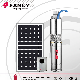 Fancy DC Brushless 48V 0.75" Solar Power Screw Submersible Water Pump