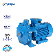  Industrial Use 20HP 15kw Electric Three Phase Garden Irrigation Twin Impellers Centrifugal Water Pump