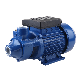  Qb80 Series Mini Pump High Pressure Hydraulic Water Pump Peripheral Pump