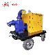 Automatic Start Diesel Engine Pump Big-Capacity Fuel Tank with Trailer