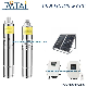 3 Lnch stainless steel solar screw pump 80W~180W manufacturer