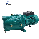  High Pressure Electric Jet Surface Centrifugal Pump Small Auto Pressure Booster Self-Priming Peripheral Cpm Centrifugal Electric Water Pump for Home Irrigation