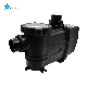 Starmatrix Variable Speed Swimming Pool Pump