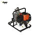  Aiqidi 1 Inch 2HP Water Pump Wb10cx (WB10CX 1E40F-5)