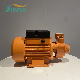 Xinya QB 220V Vortex Clean Surface Water Pump