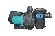 Swimming Pool Pump (JHL) with CE Approved