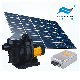  Solar Water Pump Price 72V 1200W DC Solar Swimming Pool Pump