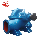 Sewage Pumps Centrifugal Water Circulation Double Suction Pump with High Quality Fbs manufacturer