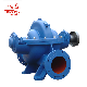 Centrifugal Pumps Circulation Set Double Suction Sewage Water Pump with Good Service Fbs manufacturer