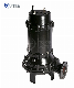  Wq Series Submersible Sewage Pump 500wq/50Hz/730rpm/55-110kw for Farmland Irrigation