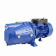  1HP Electric Motor Iron Casting High Pressure Jet Water Pump Set