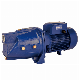  Werto Jsw-3bl High Quality Electric Wire Agricultural Machinery Self-Priming Jet Water Pump