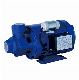  Werto Pm Series High Pressure Electric Peripheral Jet Water Pump