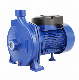 Cpm130 Centrifugal Pump Best Price, High Efficiency, Factory Directly, Home Use Pressure Water Pump/Copper Wire/Electric Pump