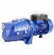  Werto Jsw-3cl High Quality Made in China Self-Priming Jet Water Pump