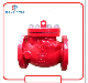  UL/FM Listed Grooved Fire Fighting Swing Check Valve with Flange Ends